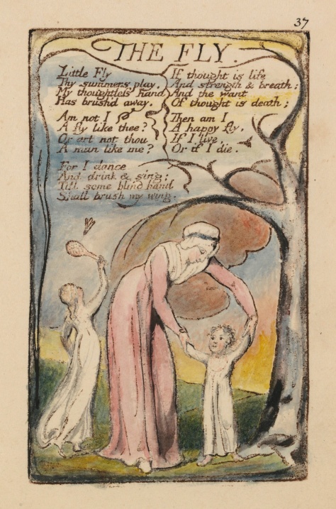 William_Blake_-_Songs_of_Innocence_and_of_Experience,_Plate_37,_-The_Fly-_(Bentley_40)_-_Google_Art_Project